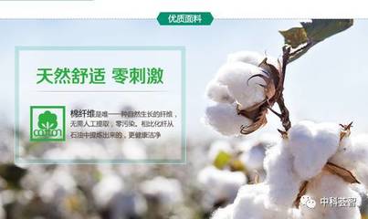 一朵棉花，一個國牌 醫用敷料OEM的國民品牌轉型與資本之路